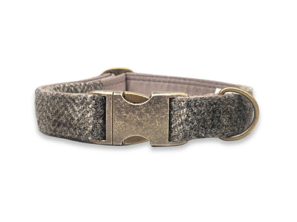 Dog collar with harris tweed fabric and brass buckle on a white background