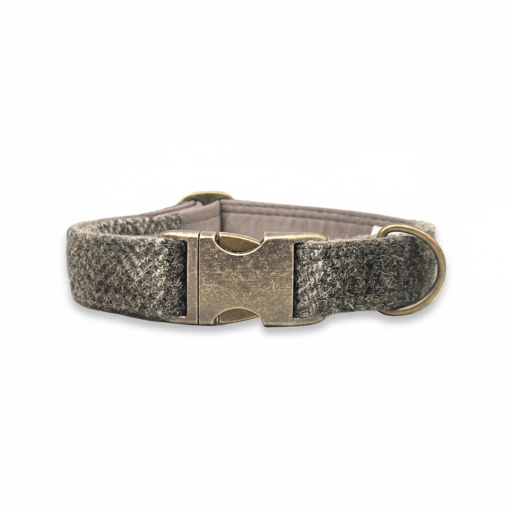 Stone check Harris Tweed dog collar with antique brass buckle on a white background