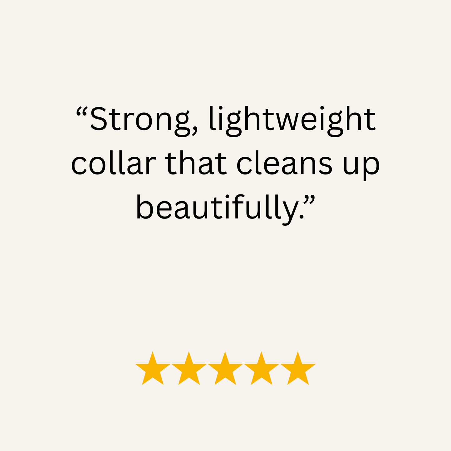 Grape Waterproof Biothane Buckle Dog Collar - Collared Creatures LTD