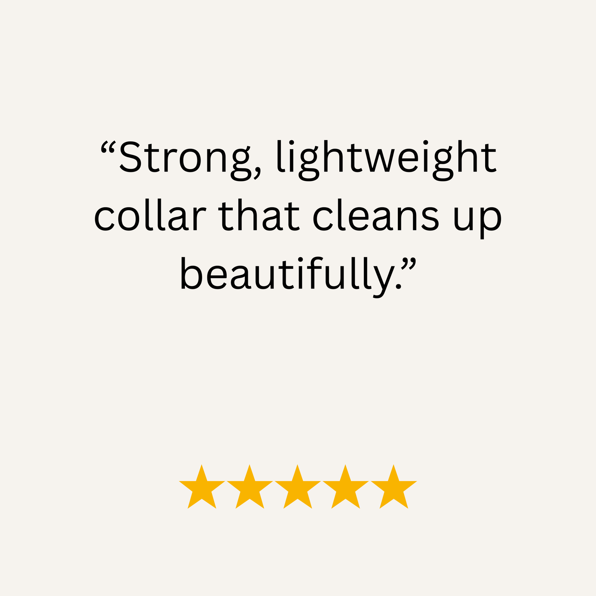 Grape Waterproof Biothane Buckle Dog Collar - Collared Creatures LTD