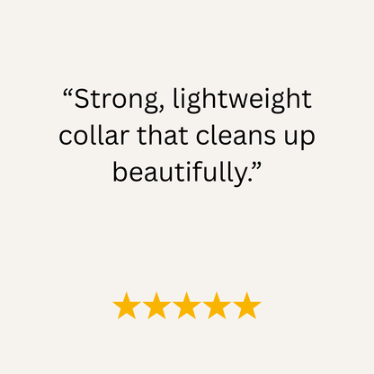 Grape Waterproof Biothane Buckle Dog Collar - Collared Creatures LTD