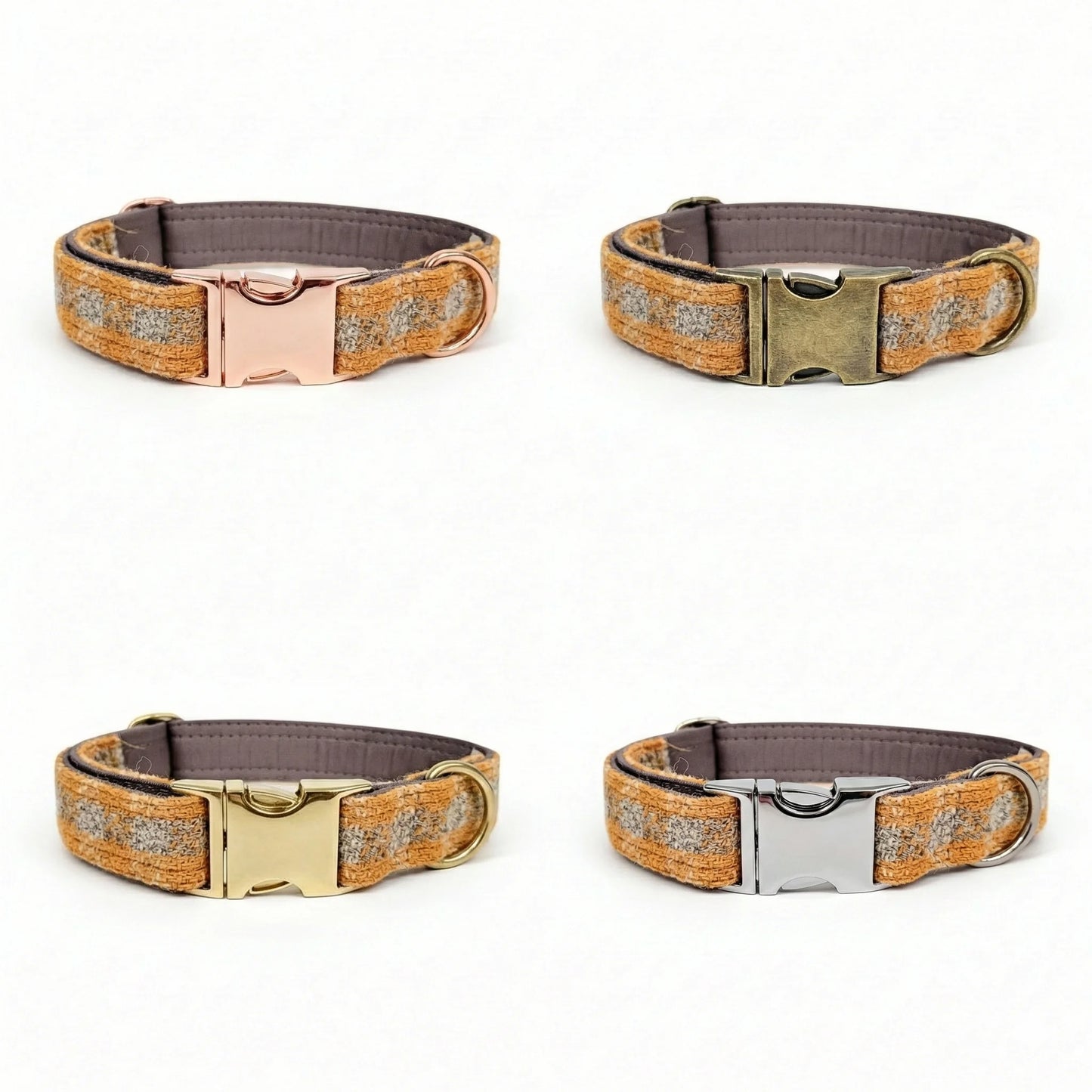 Four dog collars with different metal buckles on a white background
