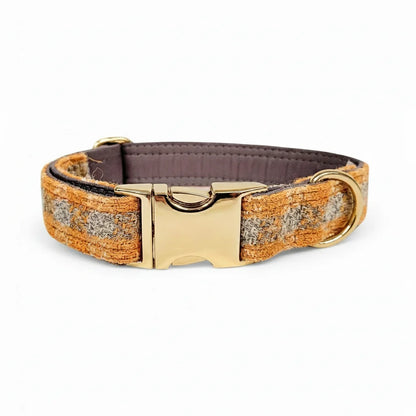 Sunflower check Harris Tweed dog collar with brass clasp on a white background