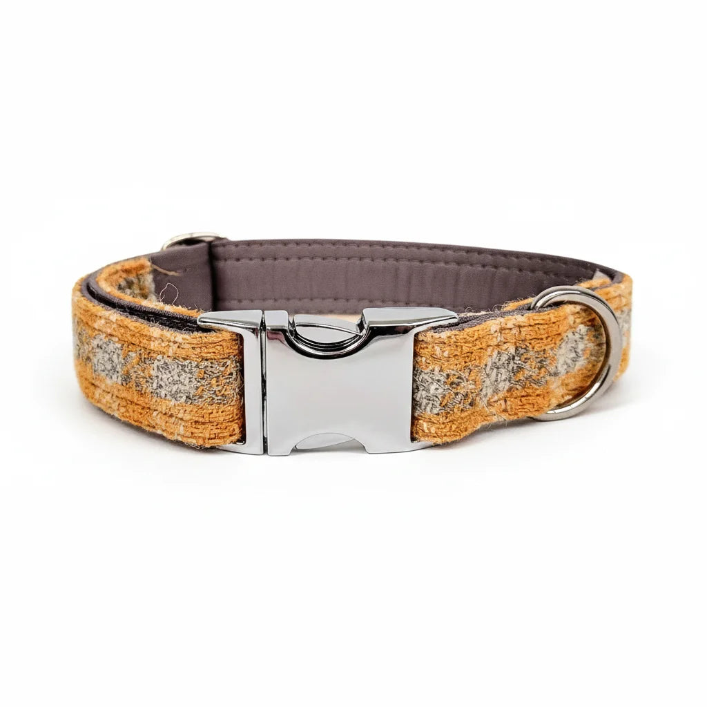 Sunflower check Harris Tweed dog collar with silver clasp on a white background