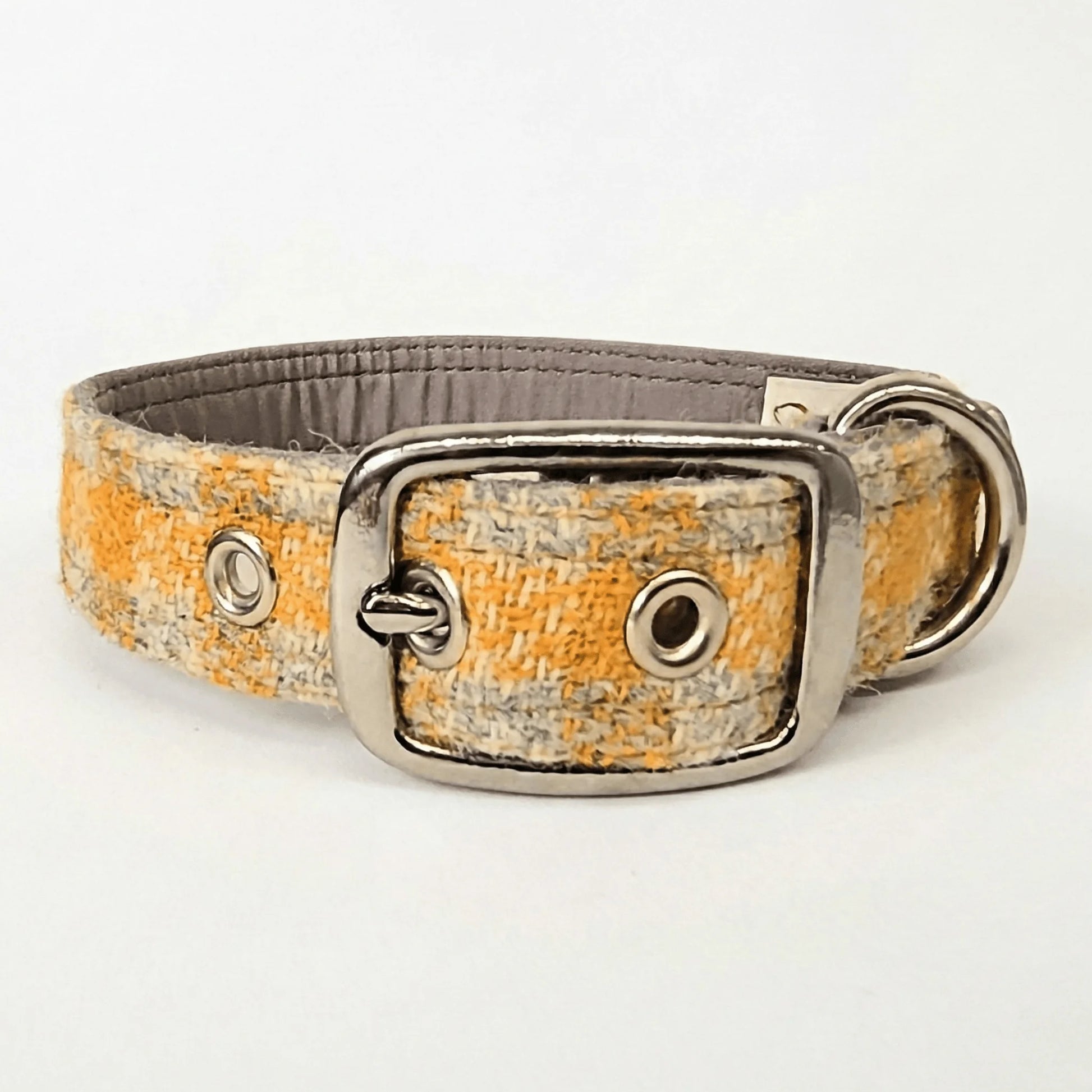 Collared Creature Dog collar with yellow and grey pattern on a white background