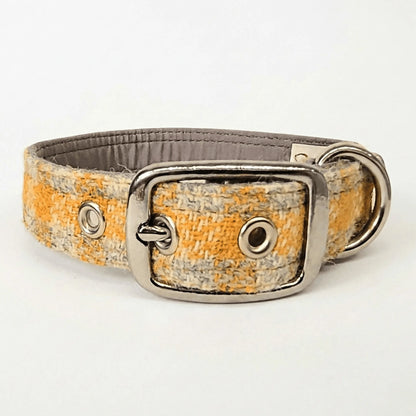 Collared Creature Dog collar with yellow and grey pattern on a white background