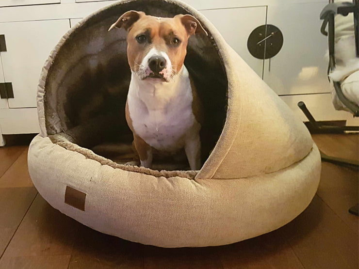 Beige Deluxe Comfort Cocoon Dog Bed