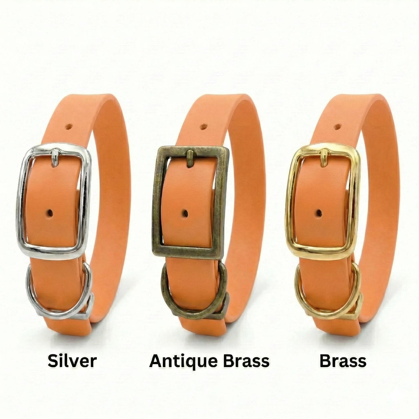 Tangerine Waterproof Biothane Buckle Dog Collar - Collared Creatures LTD