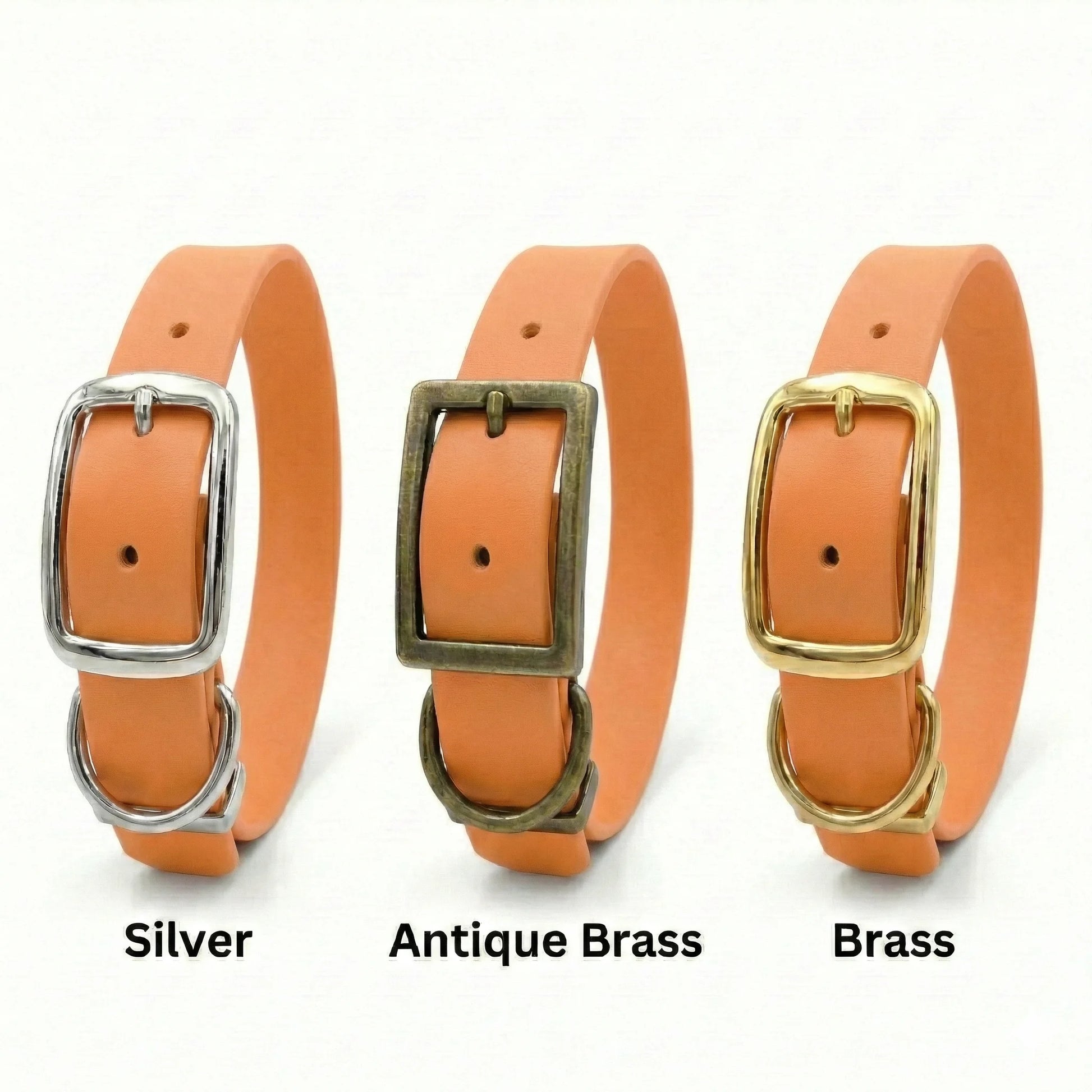 Tangerine Waterproof Biothane Buckle Dog Collar - Collared Creatures LTD