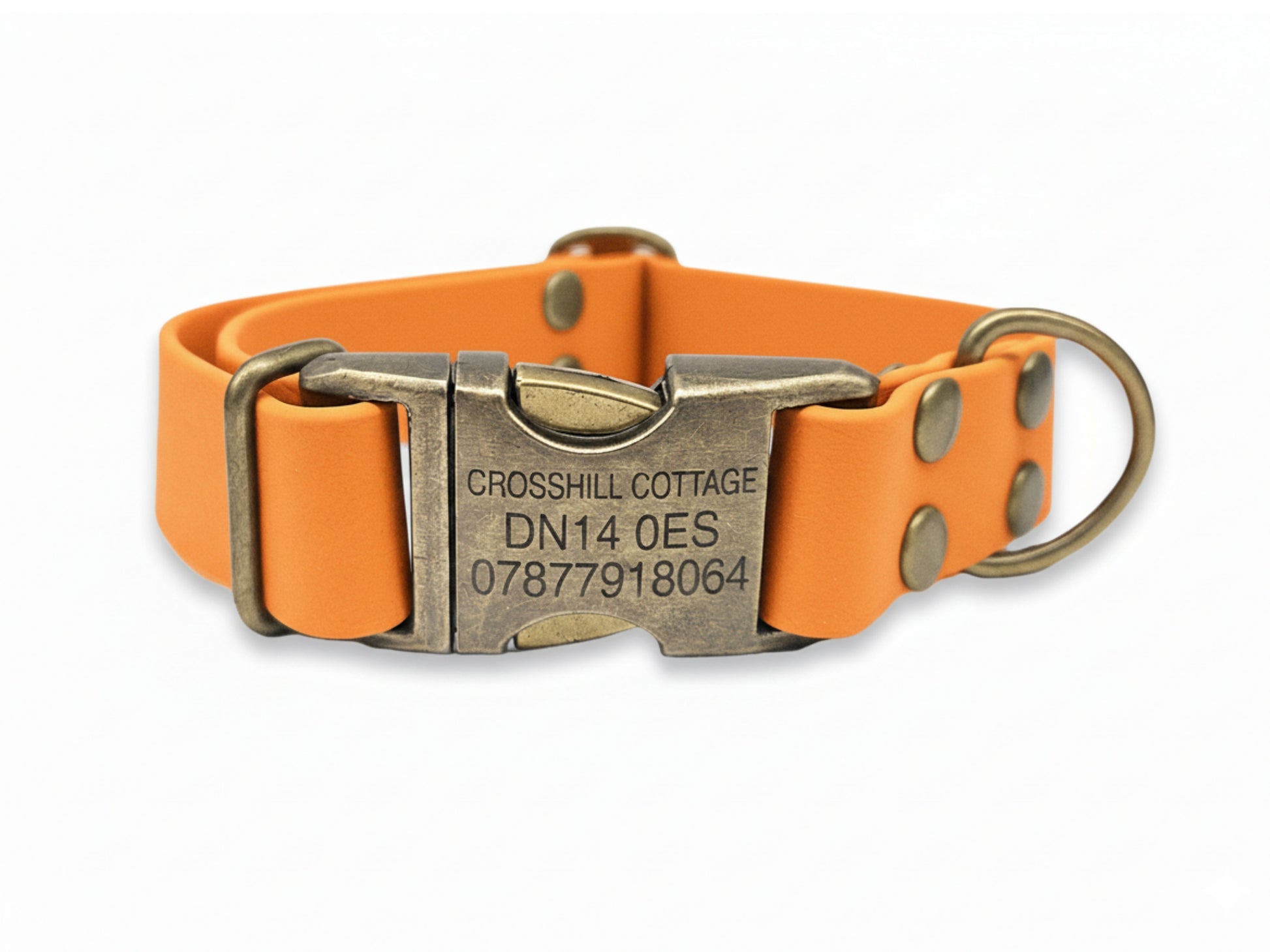 Orange dog collar with a metallic buckle on a white background