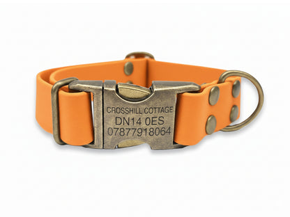Orange dog collar with a metallic buckle on a white background
