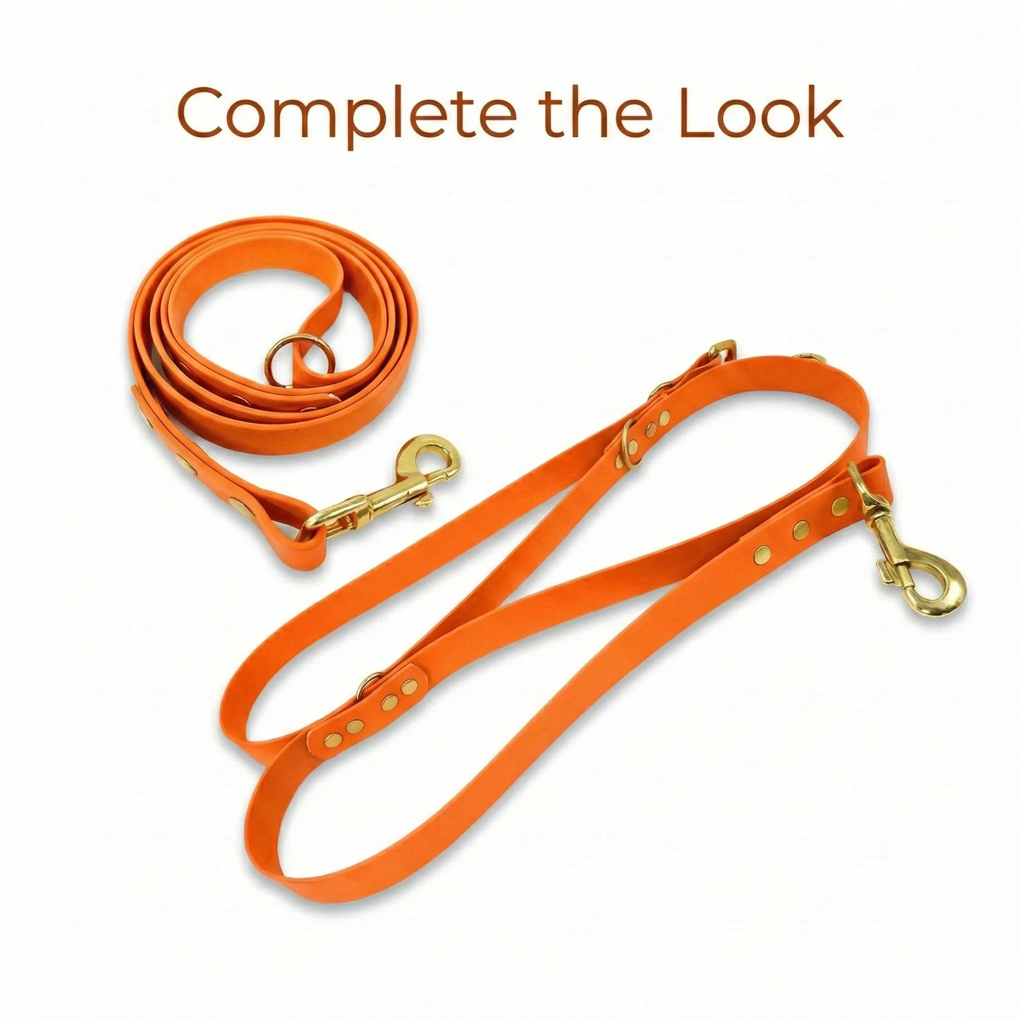 Tangerine Waterproof Biothane Metal Clasp Dog Collar