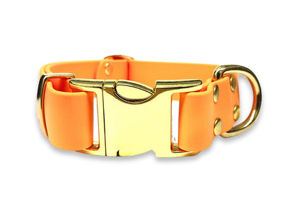 Tangerine Biothane clasp collar – water-repellent, odour-free, and built for muddy adventures – by Collared Creatures