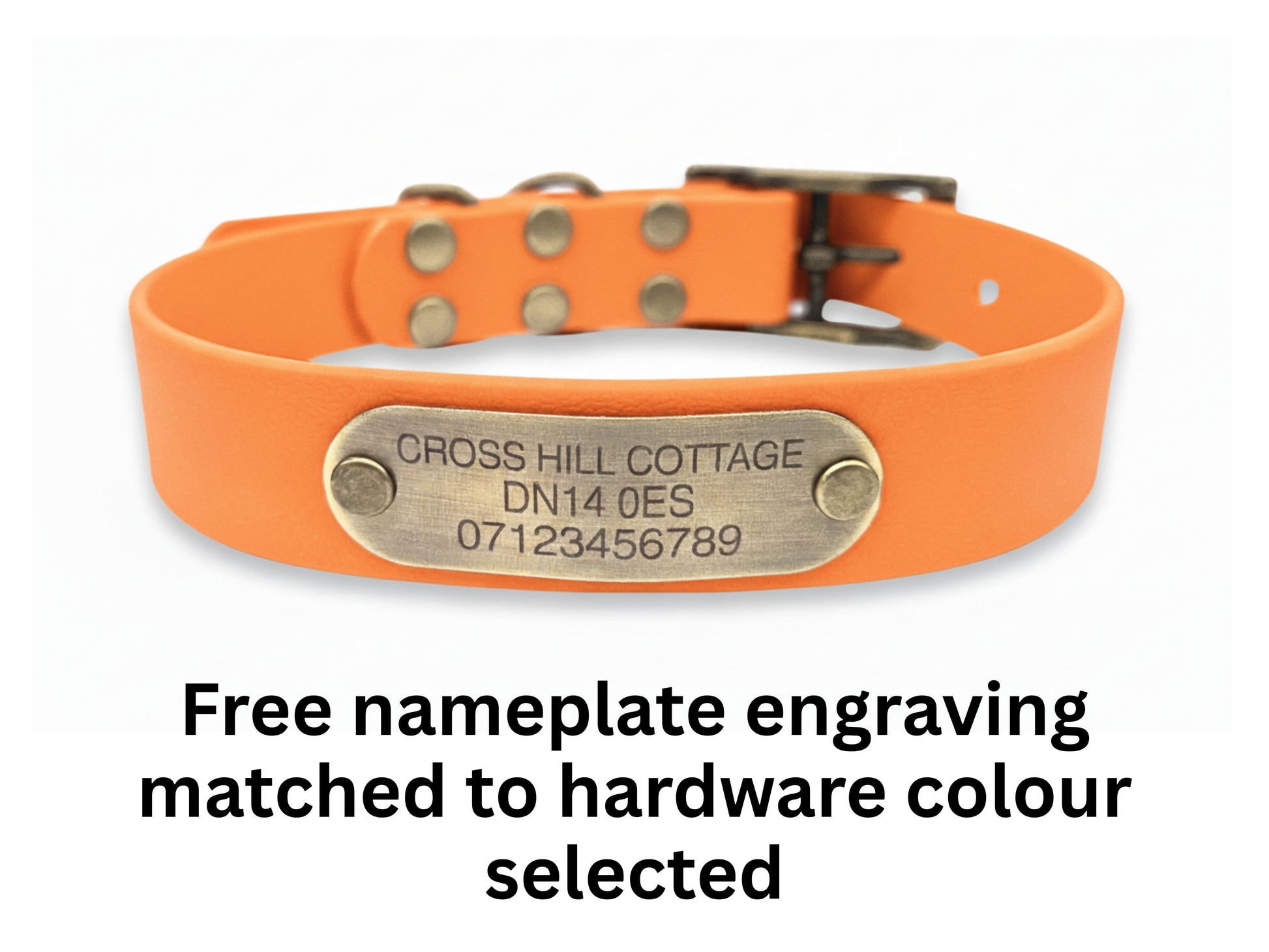 Orange dog collar with a brass nameplate on a white background