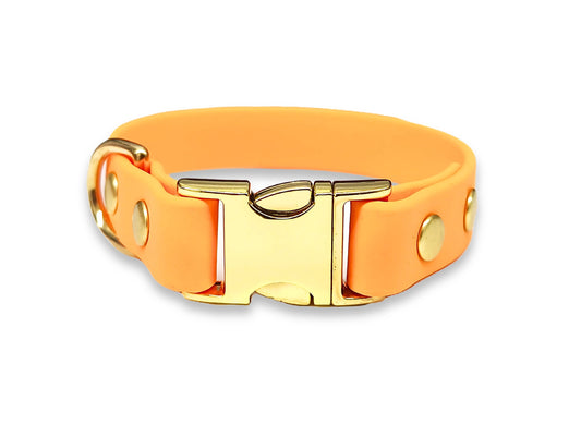 Tangerine waterproof Biothane dog collar for small dogs – lightweight, bright, and easy to clean