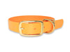 Tangerine Waterproof Biothane Buckle Dog Collar
