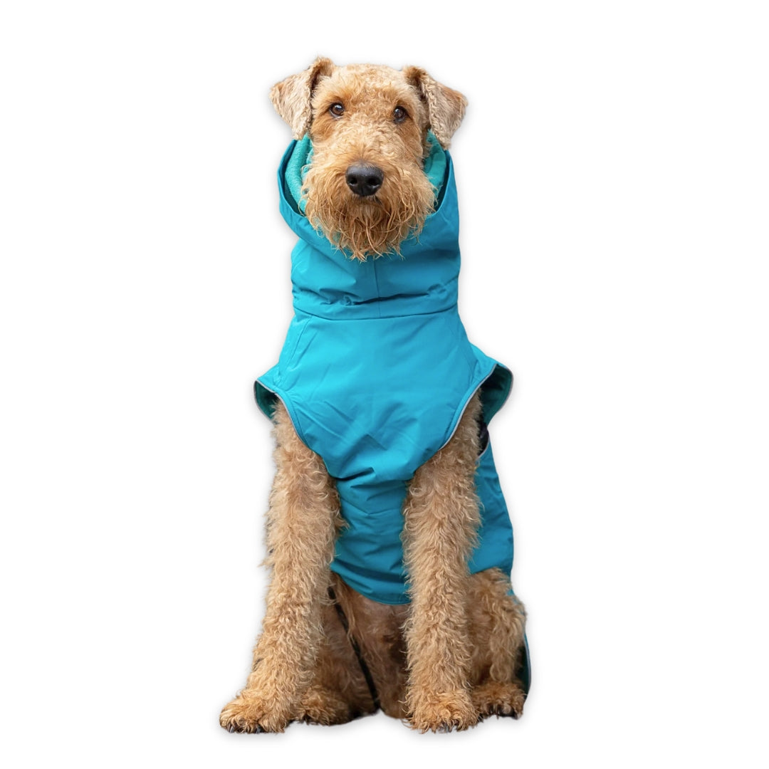 Dog wearing a blue raincoat on a white background