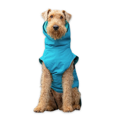 Dog wearing a blue raincoat on a white background