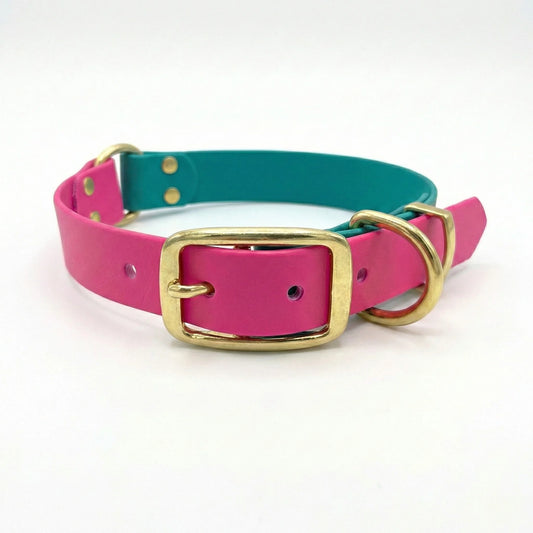 Magenta & Teal Multicolour Waterproof Biothane Buckle Dog Collar - Collared Creatures LTD