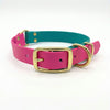 Magenta & Teal Multicolour Wasserdichtes Biothane Schnalle Hundehalsband