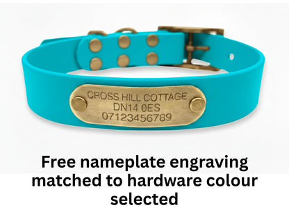 Turquoise dog collar with a brass nameplate on a white background