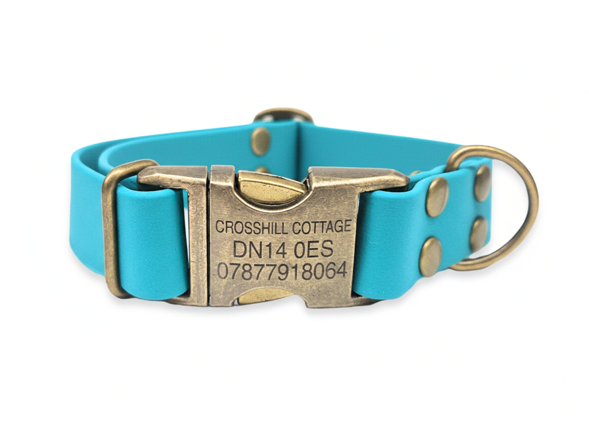 Blue dog collar with a brass buckle on a white background
