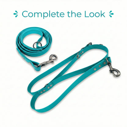 Teal Waterproof Biothane Metal Clasp Dog Collar