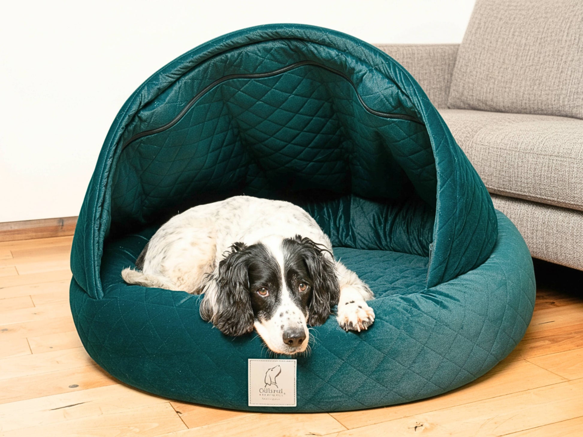 Teal Cocoon Dog Bed – Quilted Velour Cave Bed by Collared