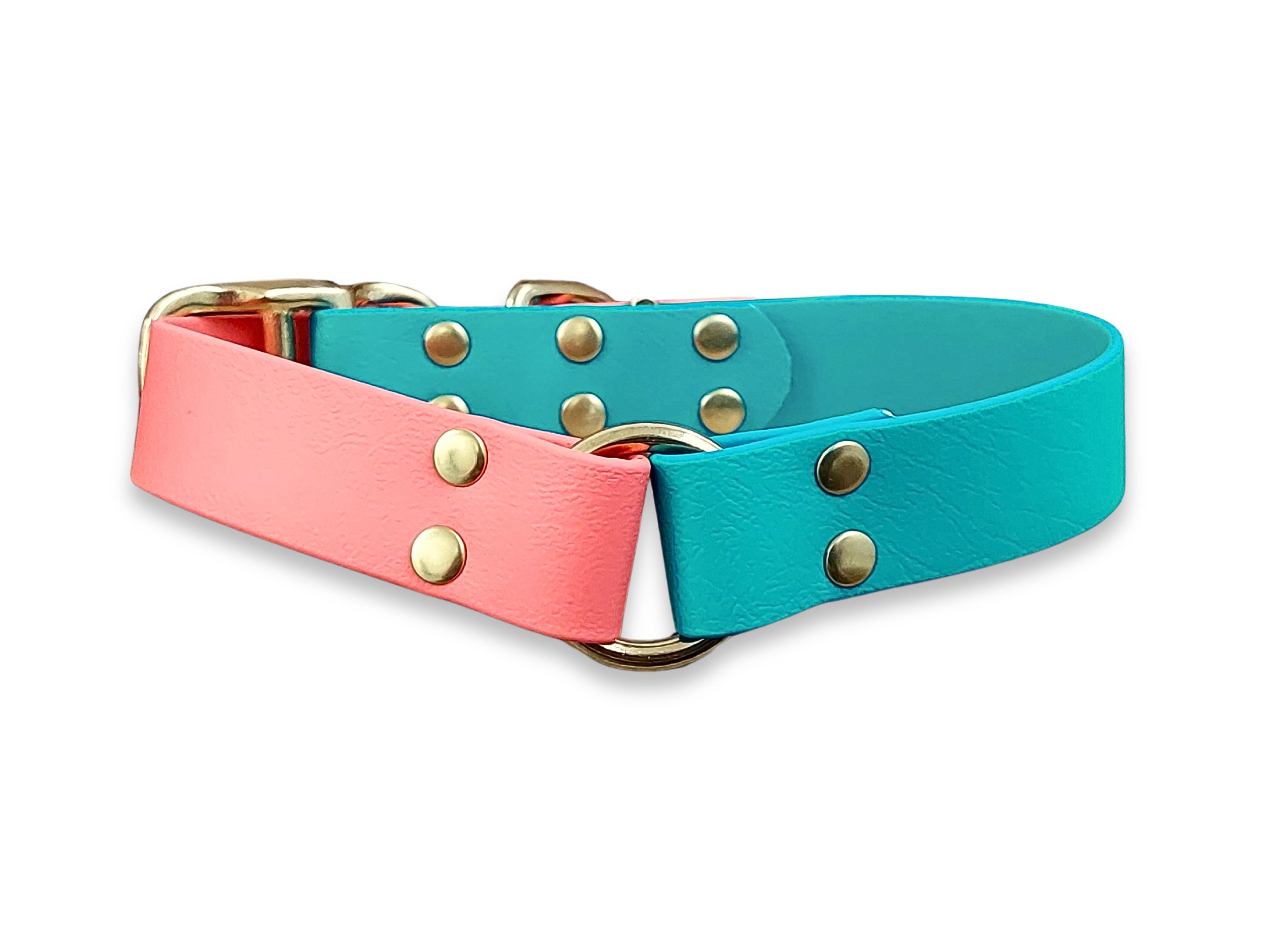 Teal & Coral Waterproof Biothane Dog Collar – Stylish UK Made