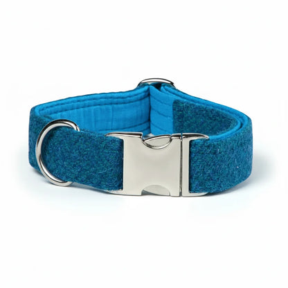 Teal herringbone Harris Tweed dog collar with silver clasp on a white background