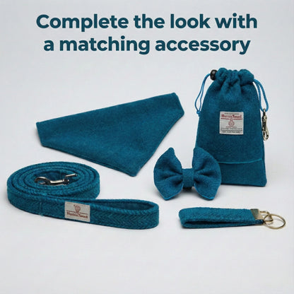 Teal pet accessory set including a leash, bow tie, and pouch on a light gray background.