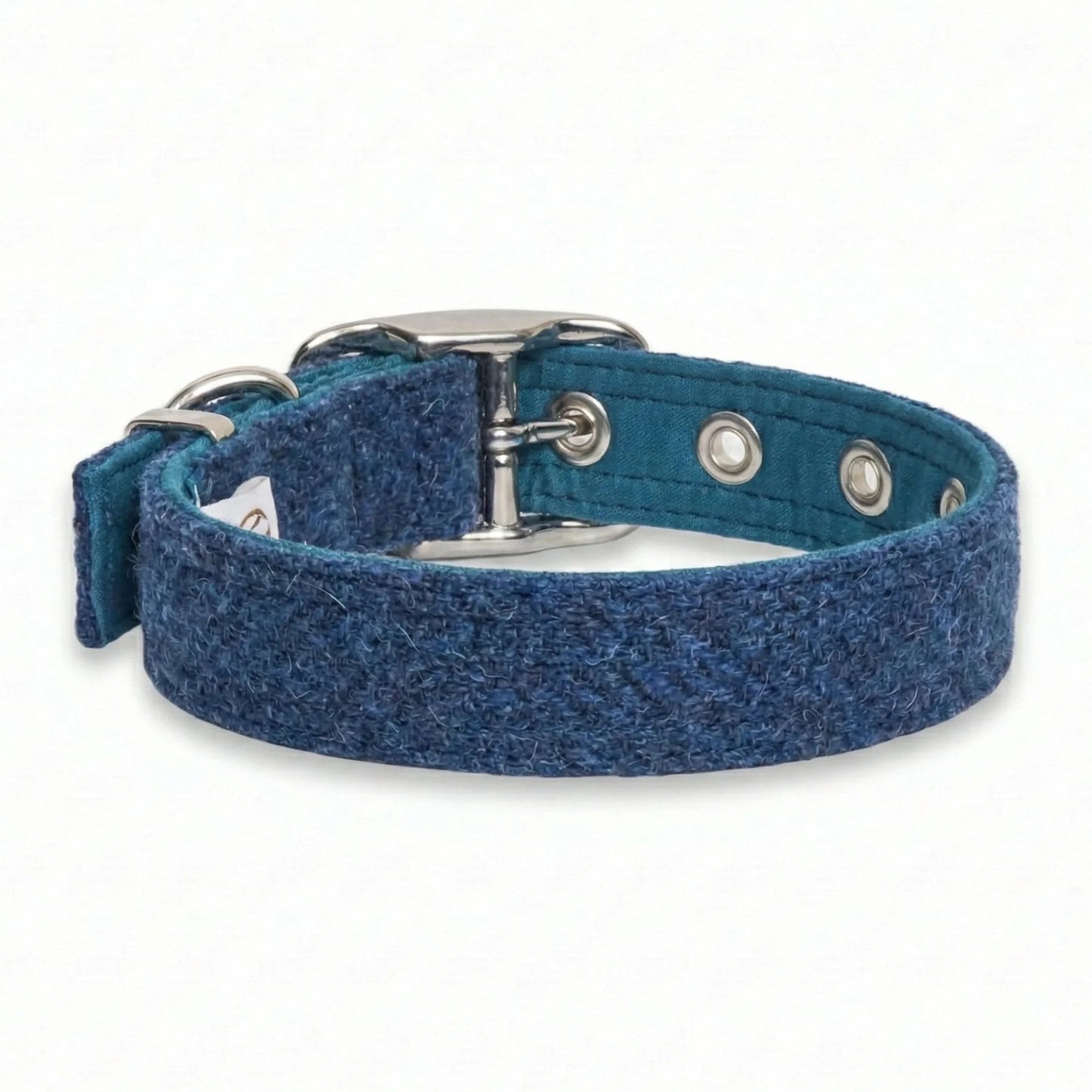 Blue dog collar with metal buckle on a white background