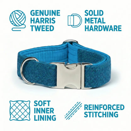 Blue dog collar with metal buckle on a white background, featuring Harris Tweed and hardware details.
