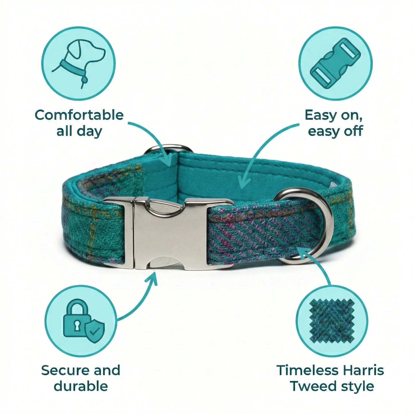 Teal dog collar with features highlighted on a white background