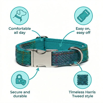 Teal dog collar with features highlighted on a white background
