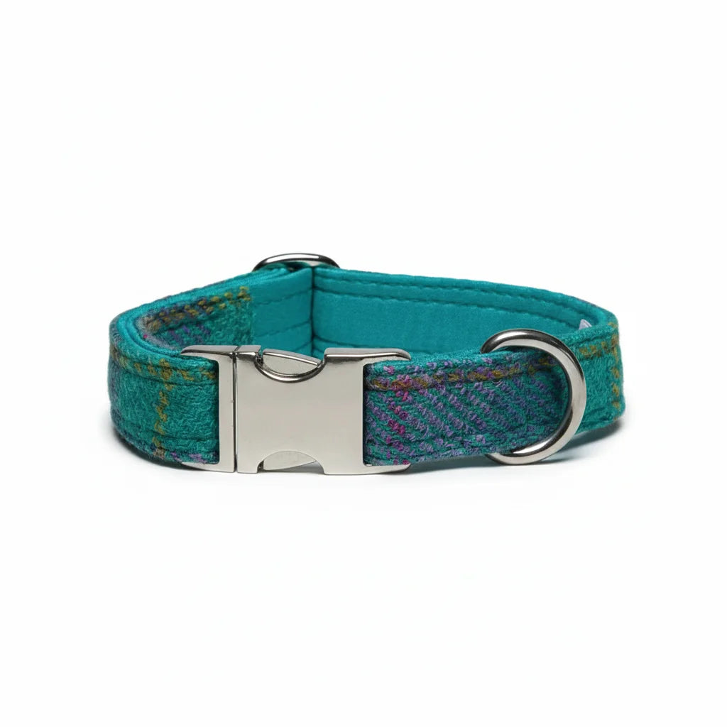 Teal and lilac check Harris Tweed dog collar with silver clasp on a white background