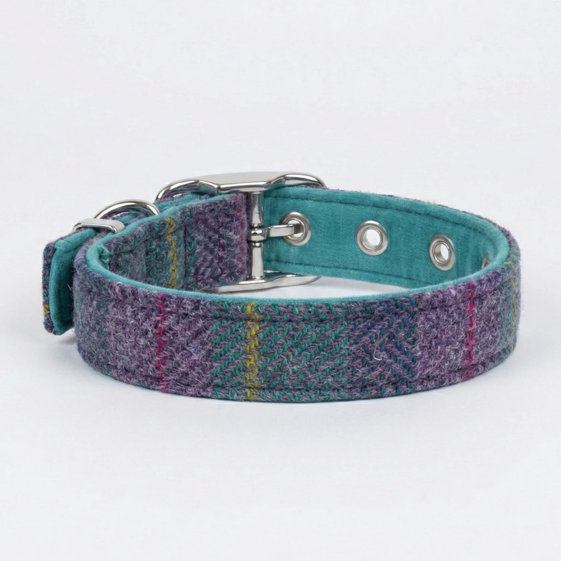 Dog collar with plaid pattern on a white background