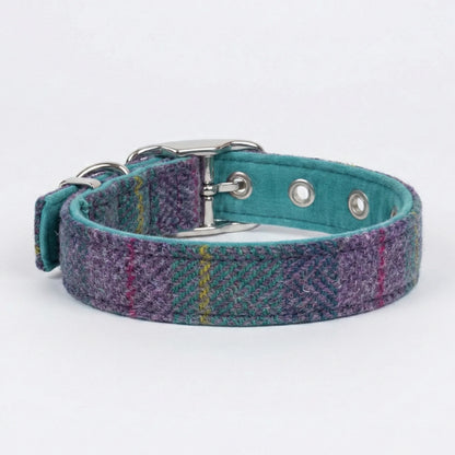Dog collar with plaid pattern on a white background