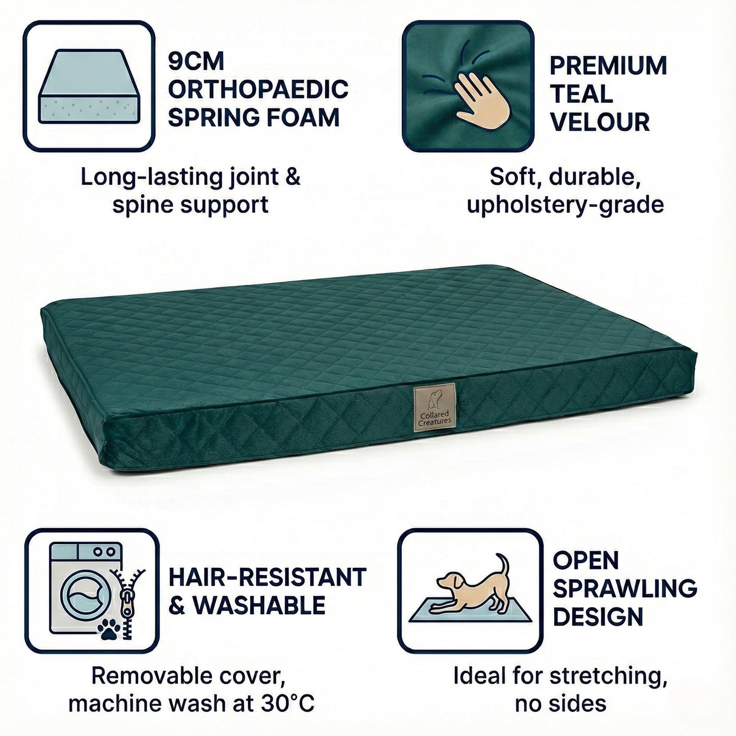 Teal orthopedic dog bed with features highlighted on a white background