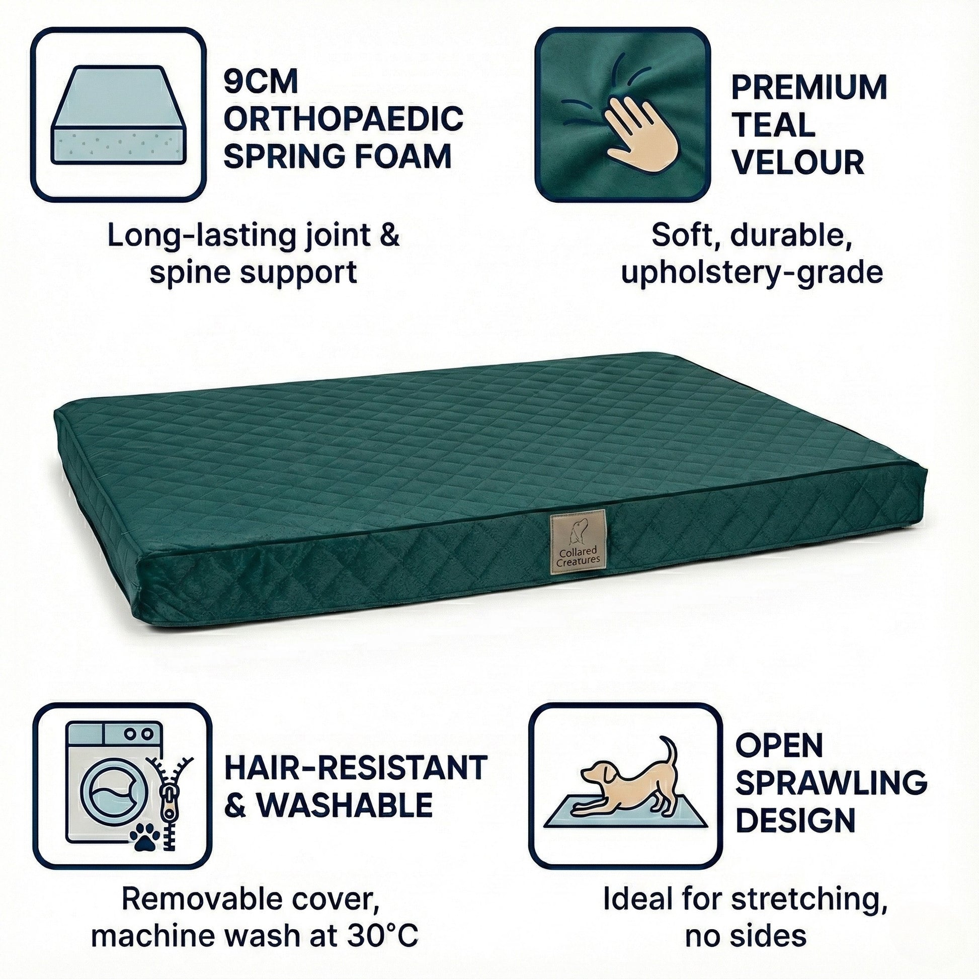 Teal orthopedic dog bed with features highlighted on a white background