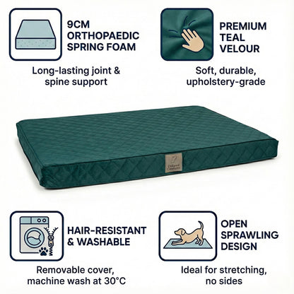 Teal orthopedic dog bed with features highlighted on a white background