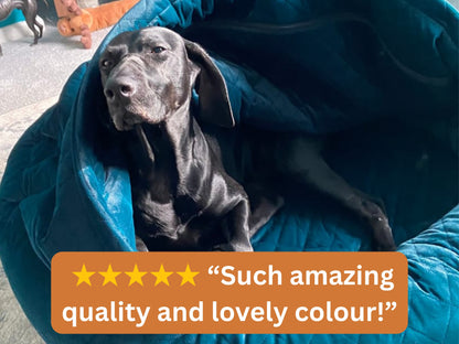 Black dog lounging in teal quilted velour cocoon dog bed with quality and colour review text overlay