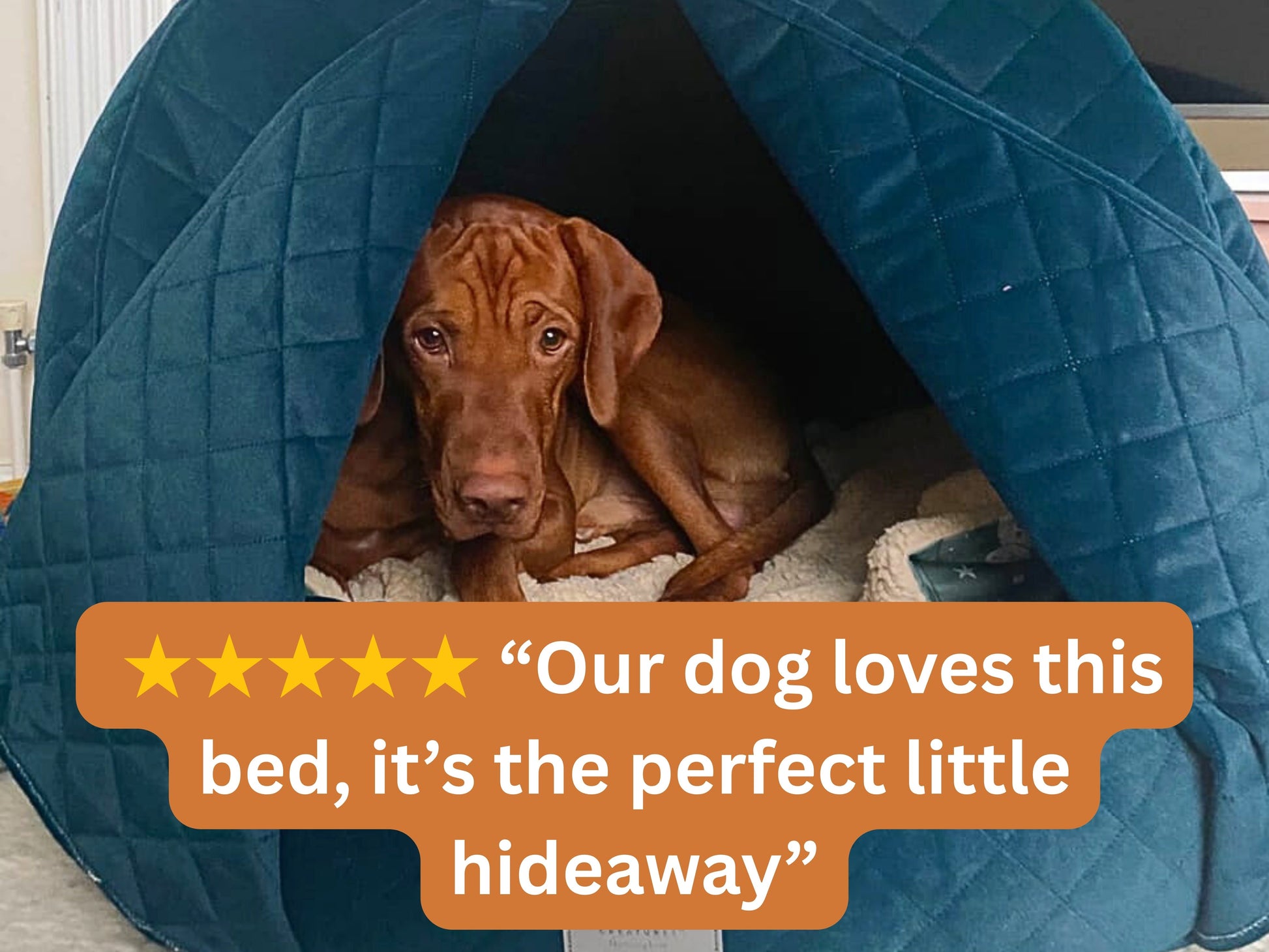 Teal Cocoon Dog Bed – Quilted Velour Cave Bed by Collared