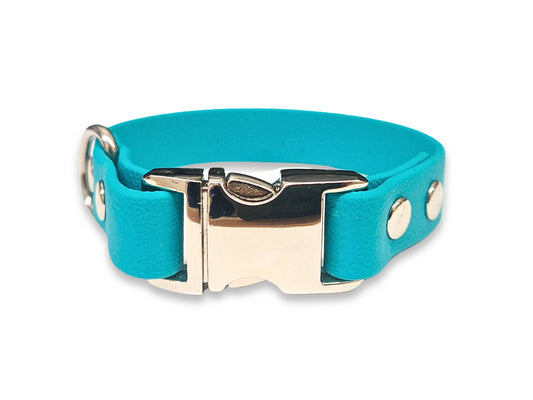 Teal Biothane dog collar for small breeds – waterproof, durable, and easy to clean