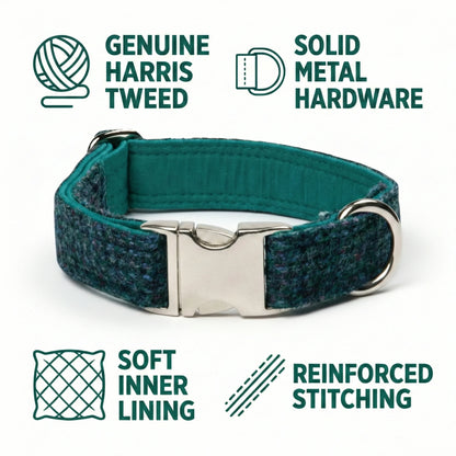 Teal Harris Tweed dog collar with metal buckle on a white background, featuring text about material and features.