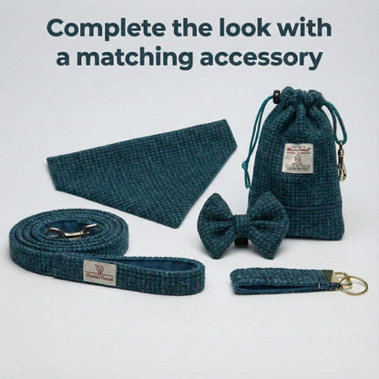Teal pet accessory set including a bow tie, leash, and pouch on a light gray background.