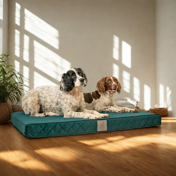 Mattress Beds