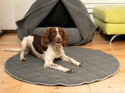 spaniel lying on round dog mat