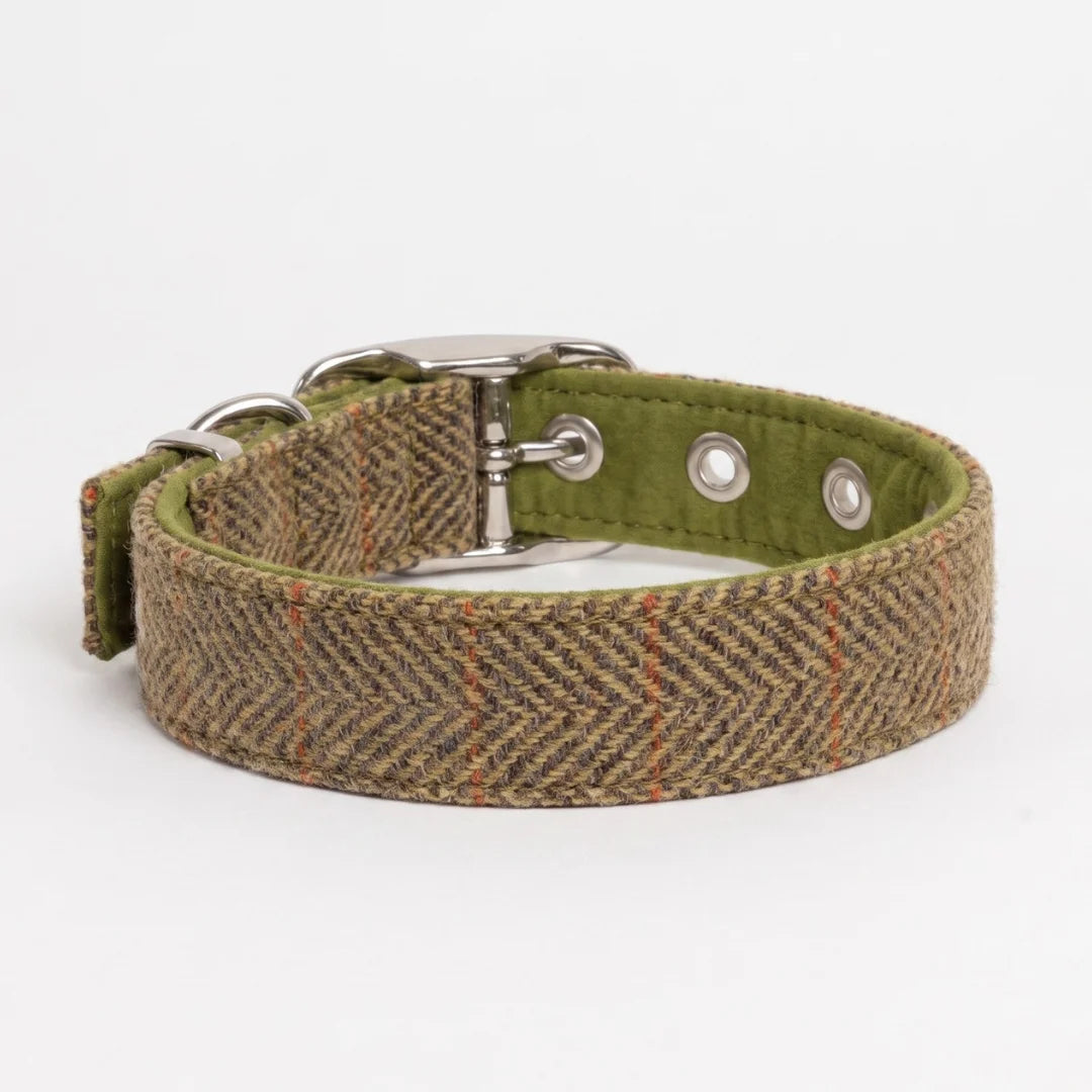 totally traditional tweed dog collar rear view on white background