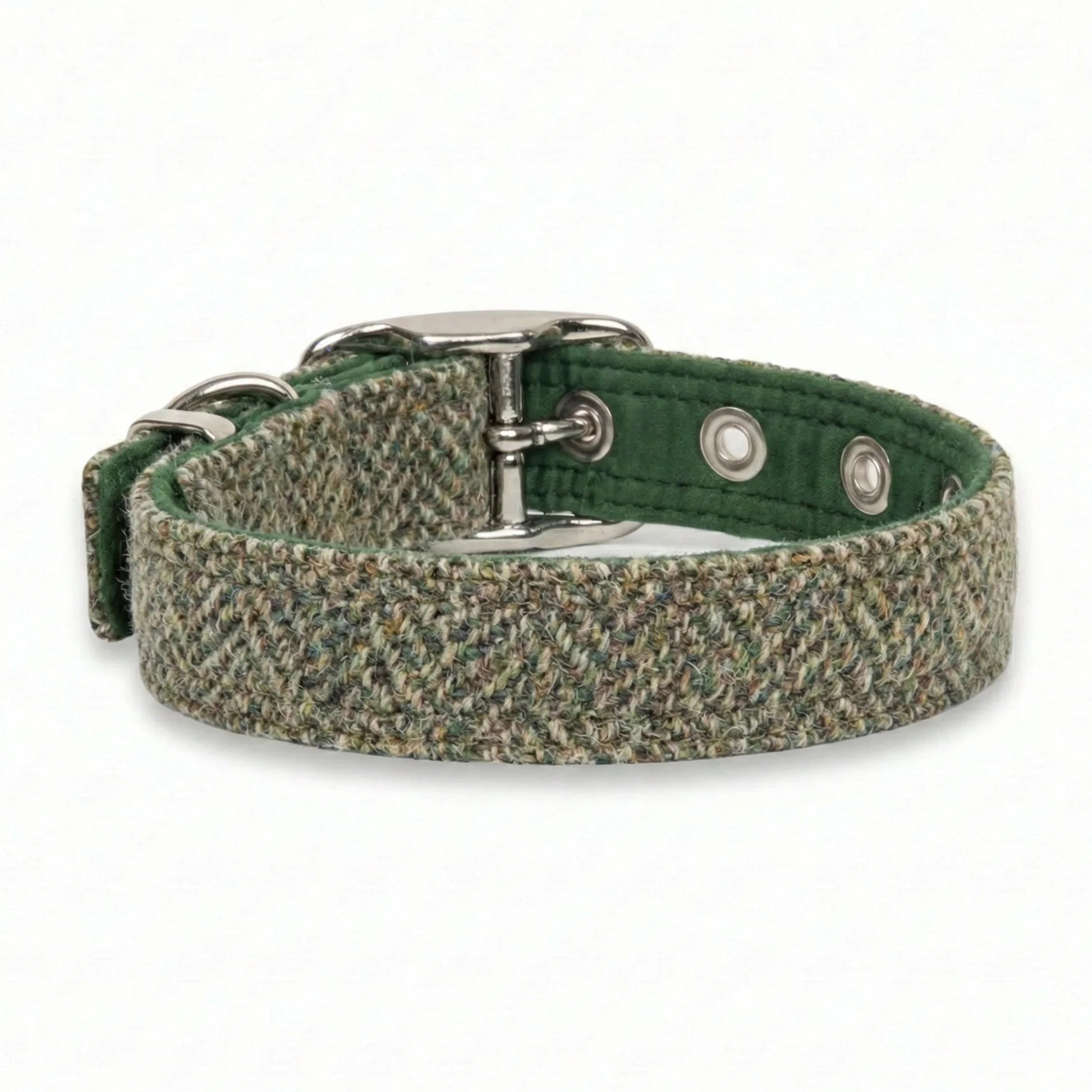 Green and brown checkered dog collar with metal buckle on a white background